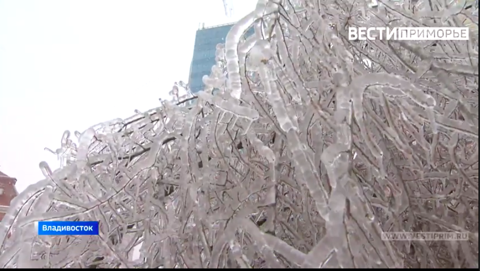 Владивосток из-за природной аномалии превратился в ледяной ад  для жителей, оставшихся без воды, света, тепла и связи - фото 1