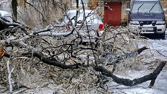Владивосток из-за природной аномалии превратился в ледяной ад  для жителей, оставшихся без воды, света, тепла и связи - фото 15