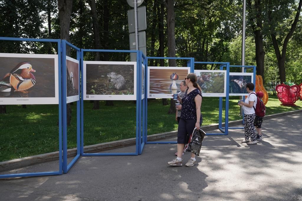 На МУФ-2023 в «Лужниках» презентуют экологические проекты Москвы   - фото 2