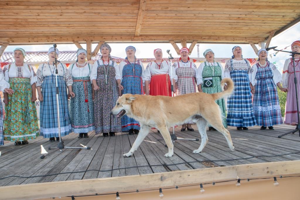 Вступление Кенозерья в ЮНЕСКО отметили на Успенской ярмарке - фото 6