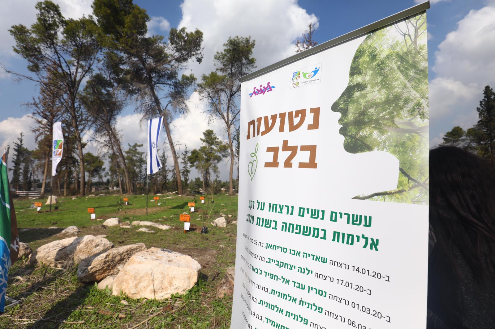20 деревьев в память о жертвах насилия в Израиле - фото 1