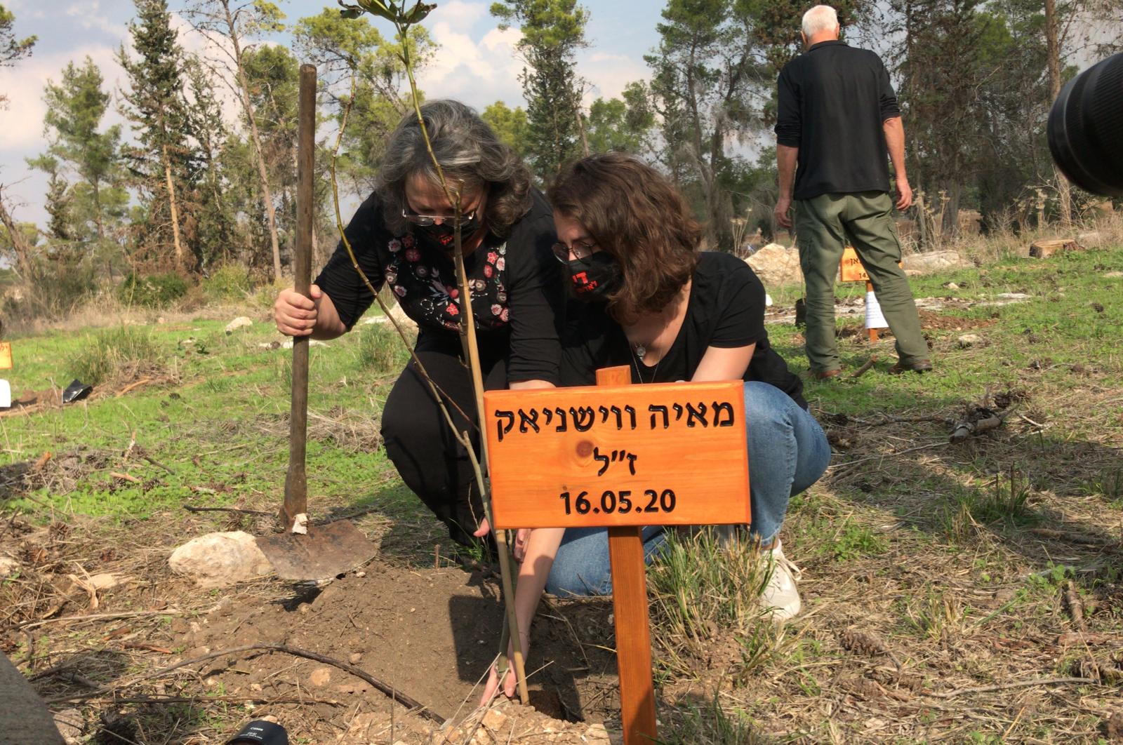20 деревьев в память о жертвах насилия в Израиле - фото 3
