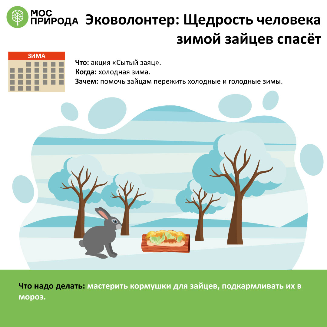 Правильные экопривычки: семь советов от Мосприроды, как стать эковолонтёром  - фото 7