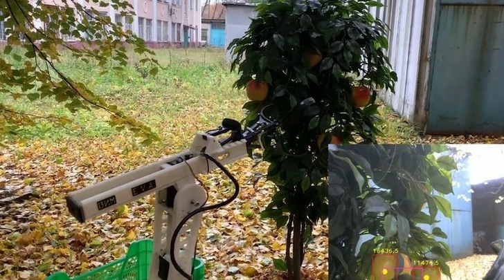 Робот для сбора яблок создан российскими учеными - фото 1