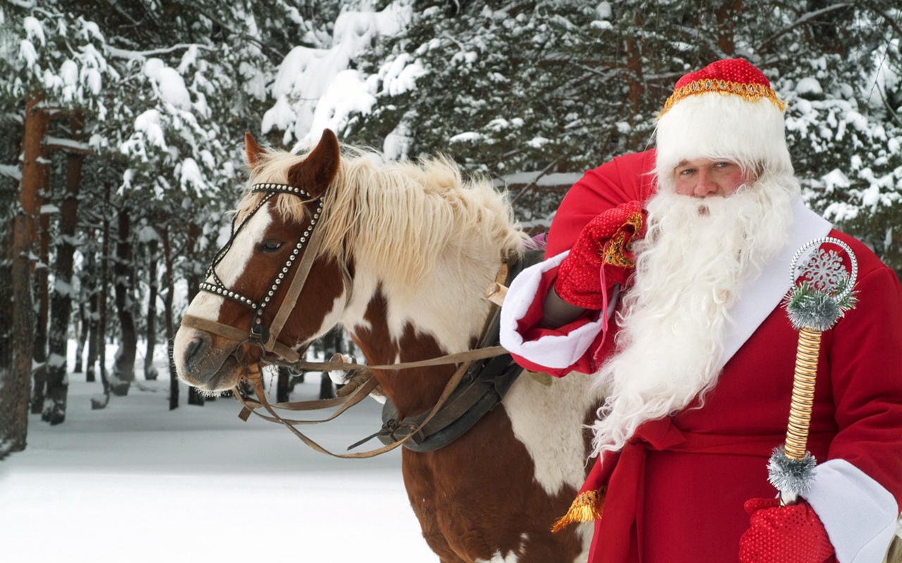 ЭкоМастерская Деда Мороза: Мосприрода запускает новогодний онлайн-проект   - фото 4