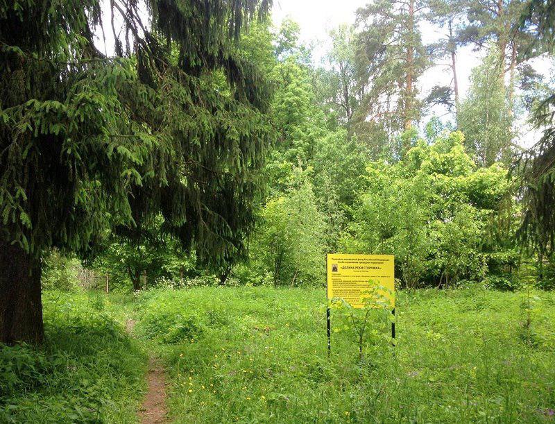  Природные границы для Русской  Швейцарии - фото 1