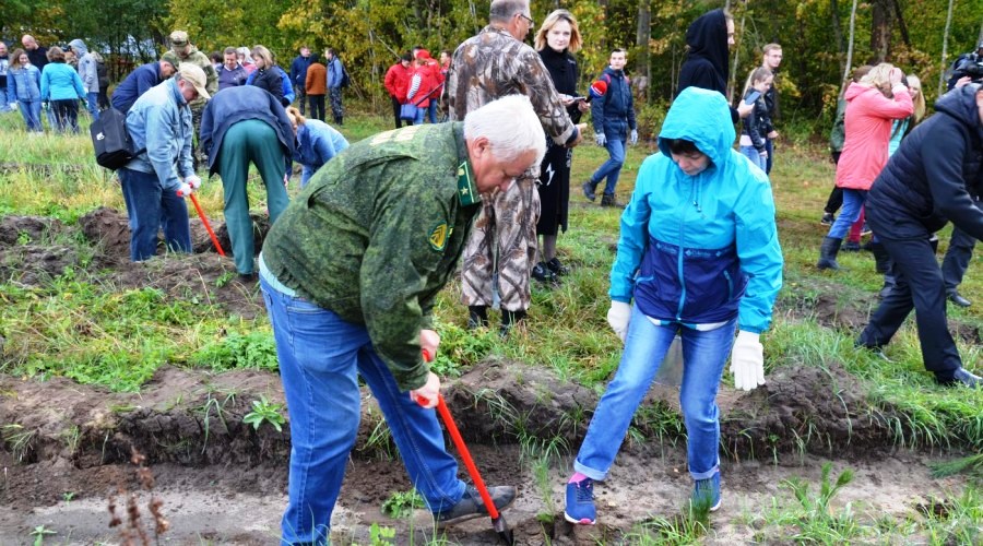В Калужской области дан старт Всероссийской акции «Живи, лес!» - фото 3