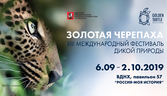 С 6 сентября по 2 октября на ВДНХ в 57 павильоне пройдет XIII Международный фестиваль дикой природы «Золотая черепаха» - фото 1