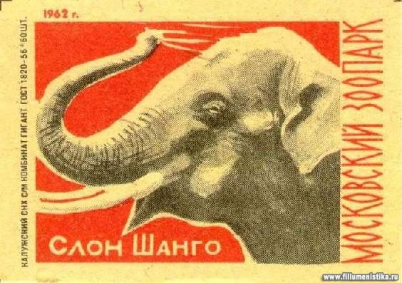 Слоны-герои обороны Москвы - фото 2