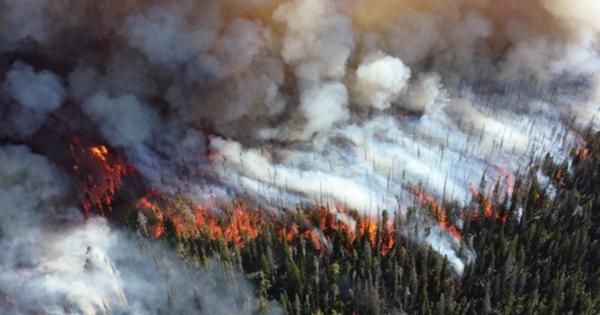 Глава Якутии назвал основной причиной пожаров в республике глобальное изменение климата - фото 1