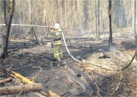 Пожары в Якутии на 14 июля - фото 2