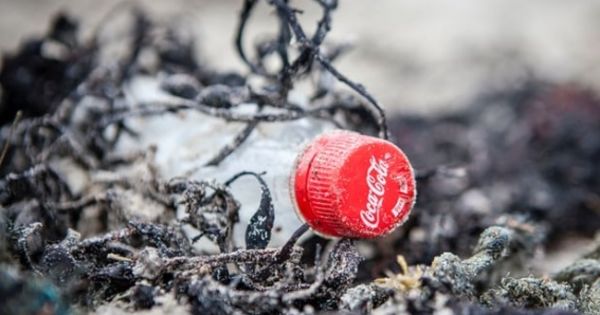  Больше всего мусора в мире от Coca-Cola - учёные - фото 1