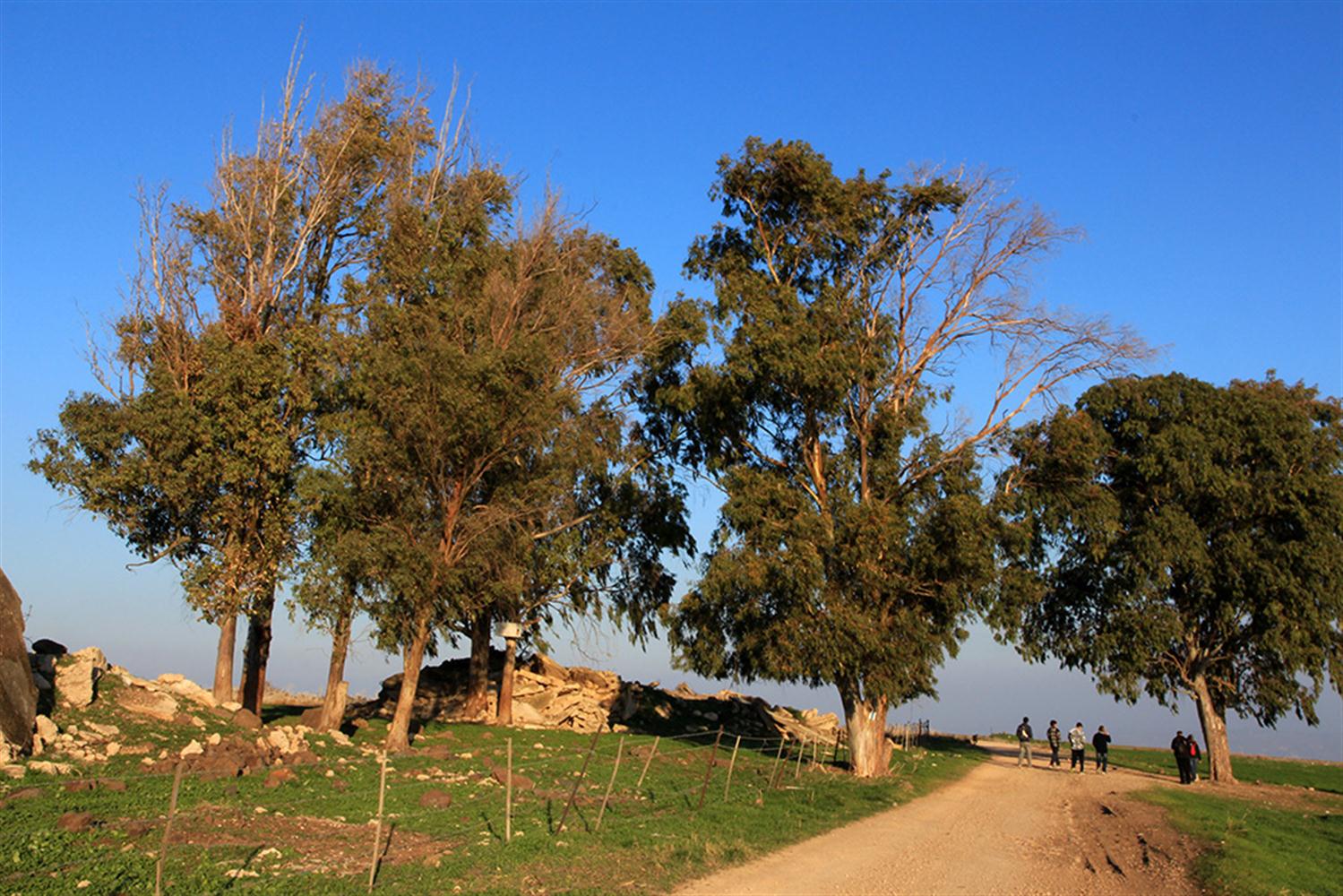 Израиль: Прогулка в Карней-Хитин по полям сражений крестоносцев - фото 1