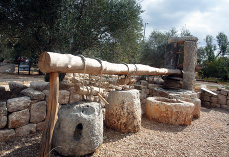 Израиль: Лесопарк Кабри – археологические памятники и оливки - фото 3