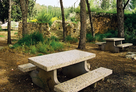 Израиль: Лесопарк Кабри – археологические памятники и оливки - фото 4