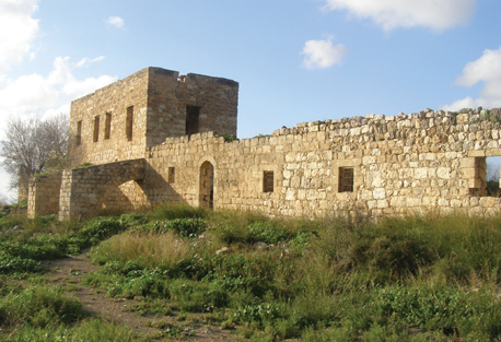 Израиль: Лесопарк Кабри – археологические памятники и оливки - фото 1