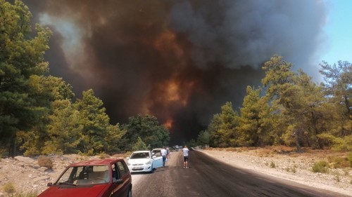 F Из-за лесных пожаров в турецком Мармарисе эвакуируют два отеля и четыре виллы - фото 1