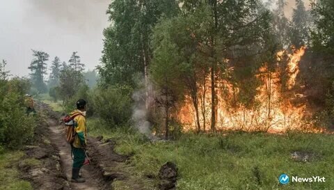 15 очагов природных пожаров потушены за сутки в Якутии - фото 1