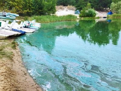 Голубое озеро в Луховицах покрыло неизвестное вещество. Жители бьют тревогу   - фото 1