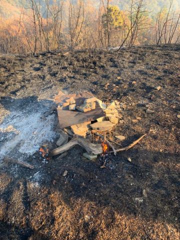 Лесной пожар в Пшадском лесничестве локализован - фото 4