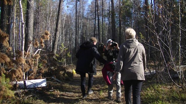 «Чёрных лесорубов» в Иркутской области выявляют общественники  - фото 1