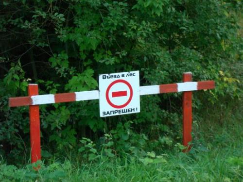 В Липецкой области введено ограничение на посещение лесов - фото 1