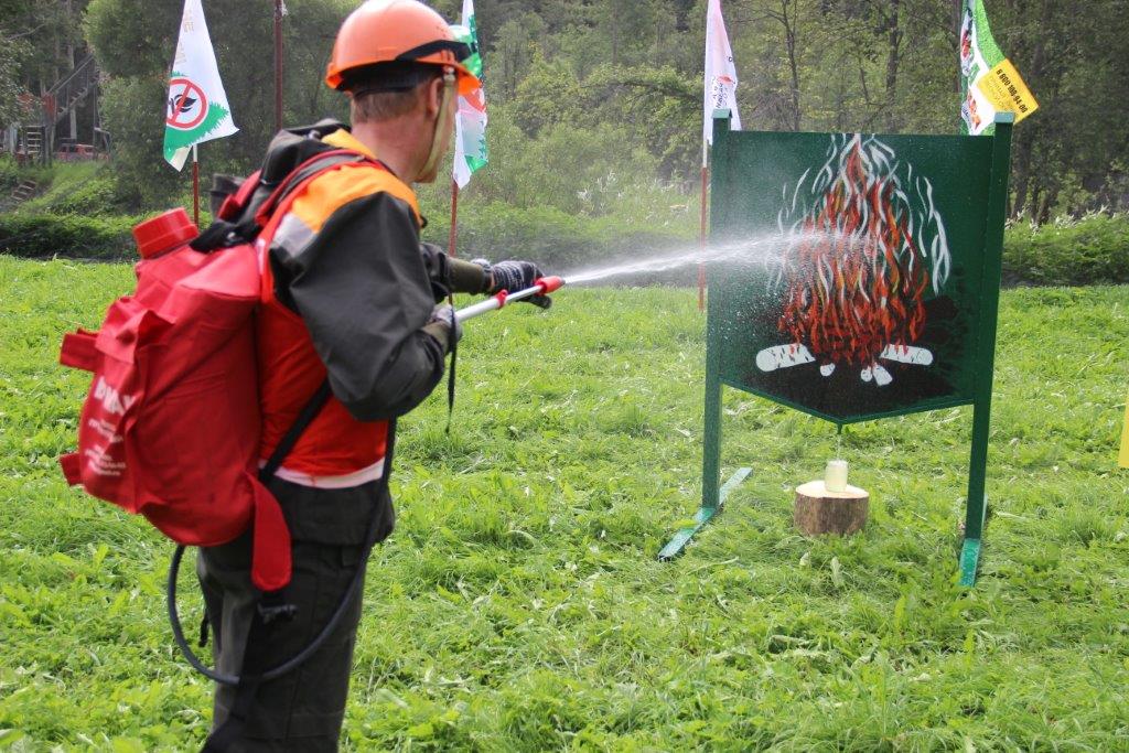 В Ярославской области прошел конкурс «Лучший лесной пожарный- 2017» - фото 20