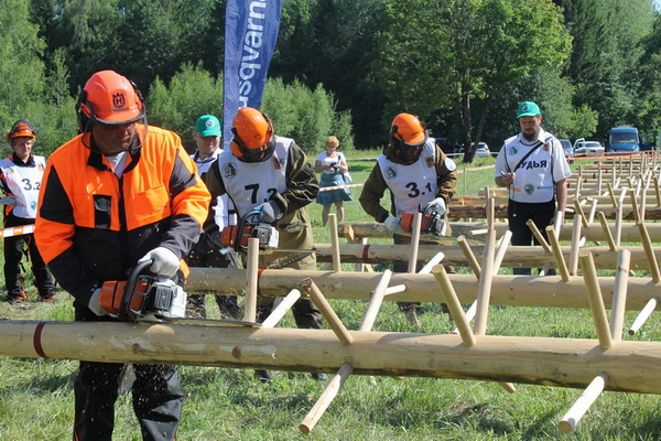 Третьи областные соревнования вальщиков леса «Лесоруб-2017» состоялись в Дятьковском районе на Партизанской поляне - фото 2