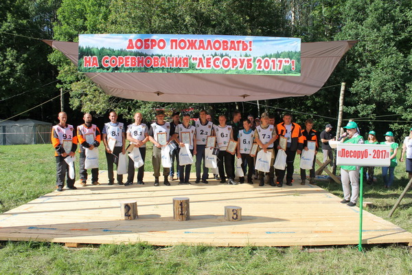 Третьи областные соревнования вальщиков леса «Лесоруб-2017» состоялись в Дятьковском районе на Партизанской поляне - фото 1