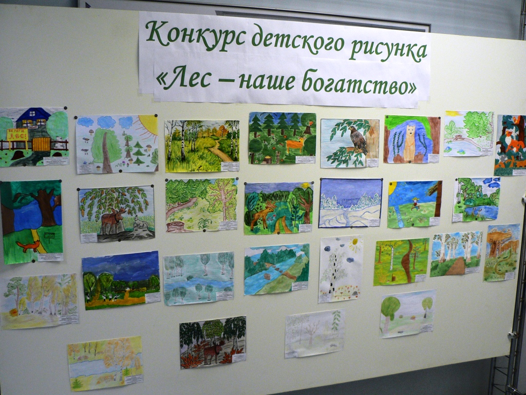 В Белгородской области подвели итоги конкурса детских рисунков «Лес – наше богатство» - фото 1