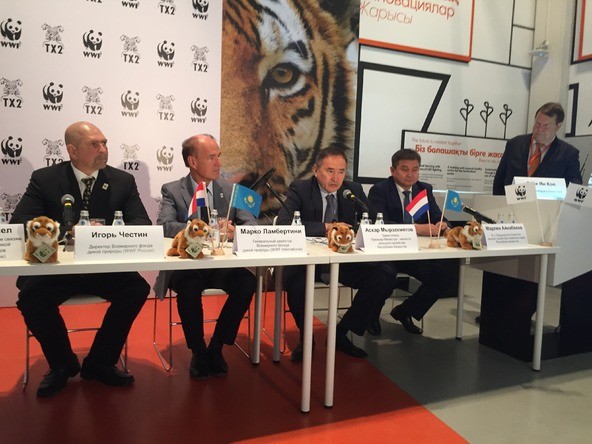 Тигры вернутся в Казахстан спустя 70 лет после полного исчезновения - фото 2