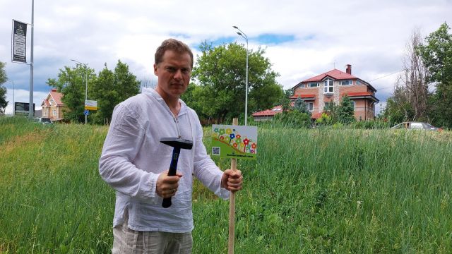   Продолжается эксперимент по созданию луговых газонов в Нижнем Новгороде - фото 3