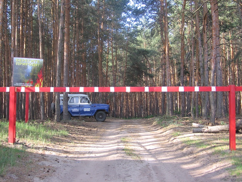 Управлением лесами Тамбовской области в первом полугодии 2017 года  проведены проверки соблюдения лесопользователями  лесного законодательства - фото 1