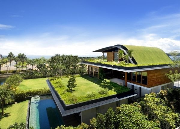modern-house-green-roof
