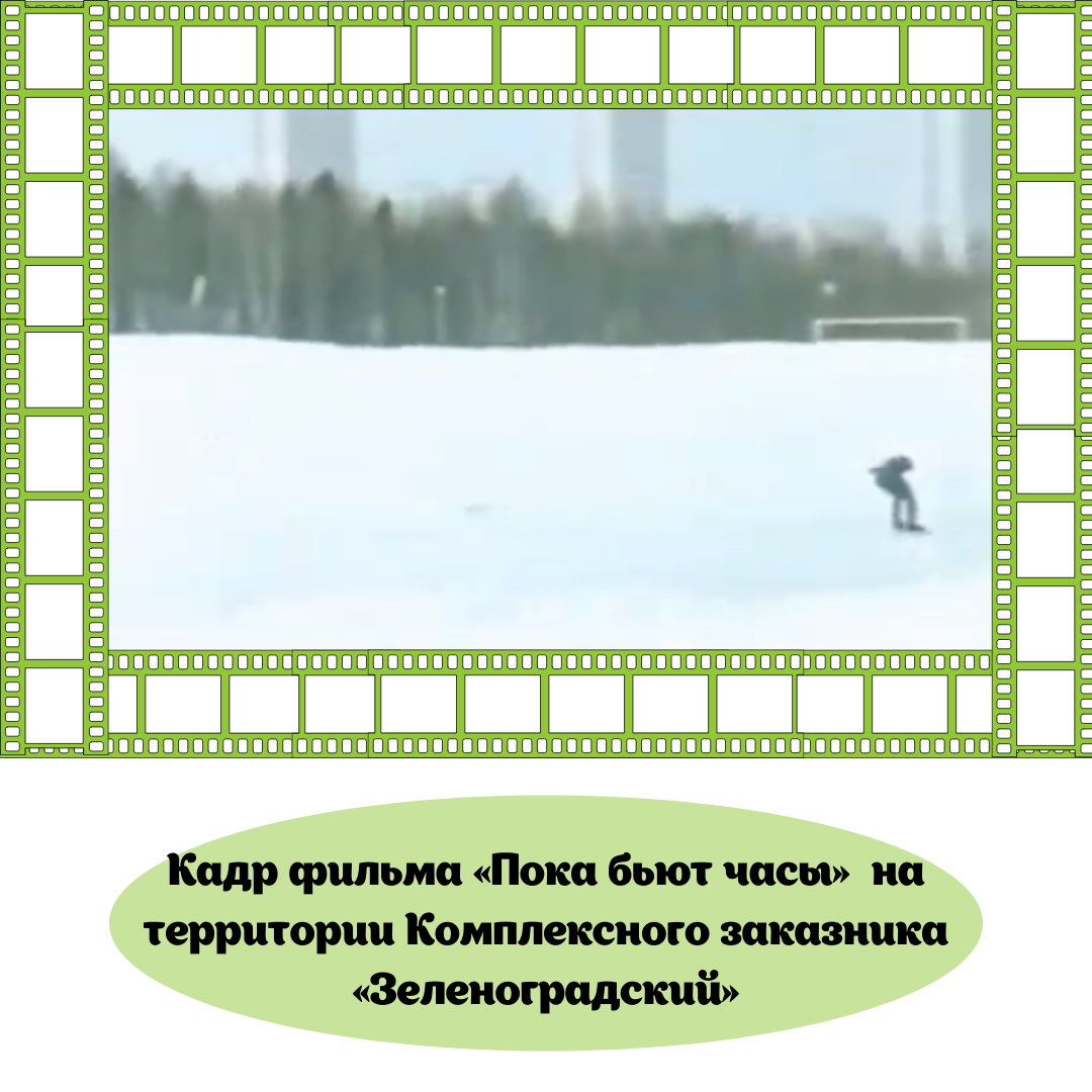 КиноМосприрода: какие фильмы снимались на природных территориях Москвы - фото 3