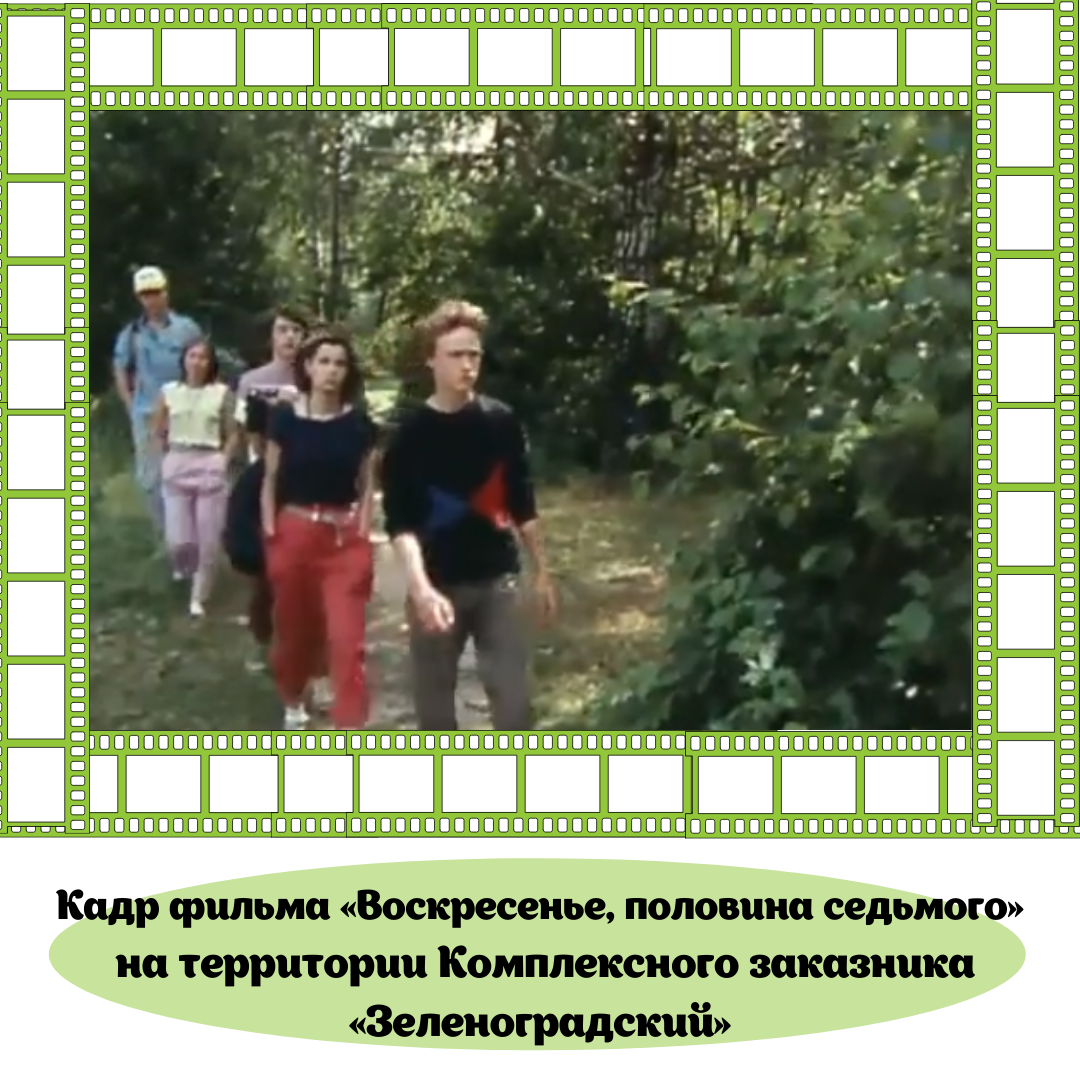 КиноМосприрода: какие фильмы снимались на природных территориях Москвы - фото 4