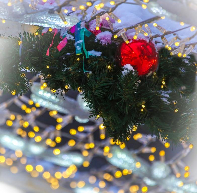 Готовимся к праздникам экологично: в Кузьминках пройдут «Рождественские встречи»   - фото 3
