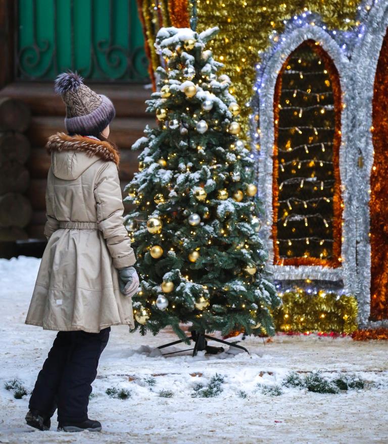 «ЭкоМастерская Деда Мороза»: Мосприрода вновь открывает новогодний проект   - фото 7