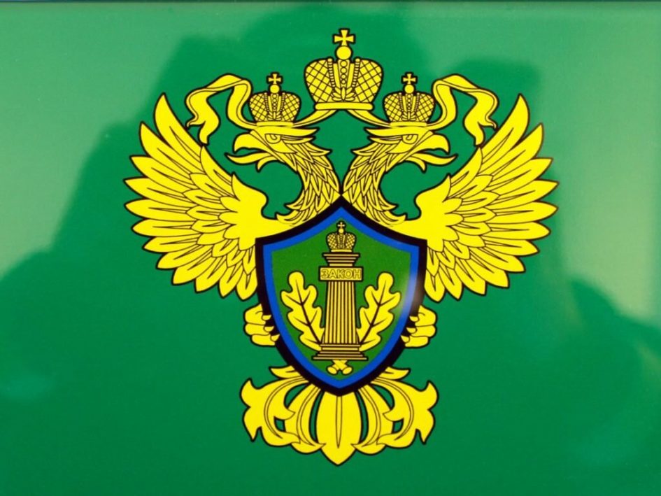 Rosprirodnadzor-Logo-2021-945x709