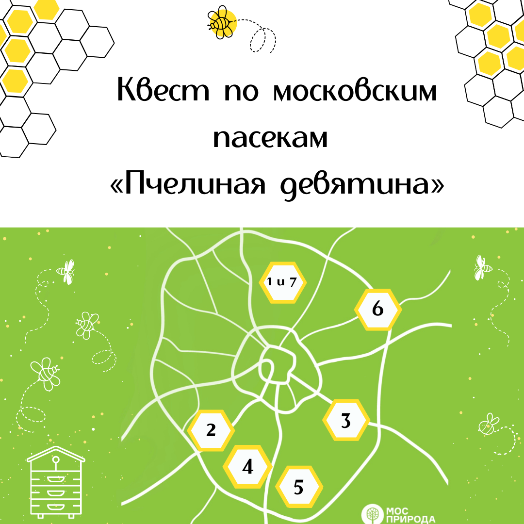 10Квест по московским пасекам Пчелиная девятина 1