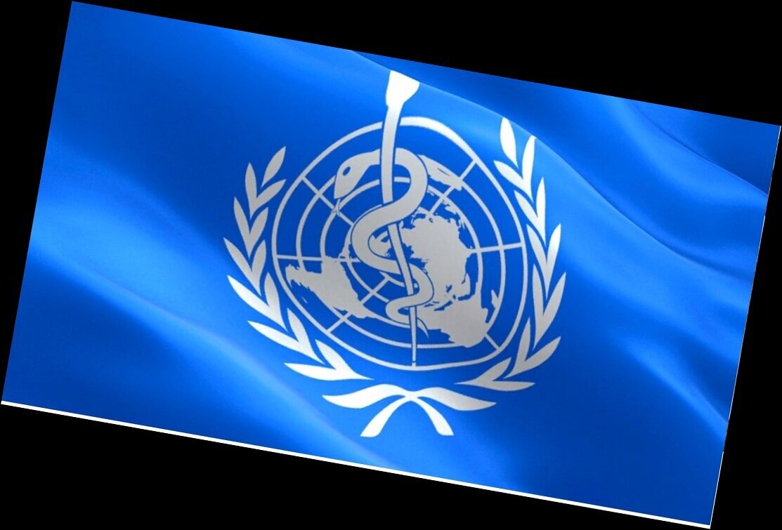 25 октября в Москве открылось 26-е заседание сети Всемирной организации здравоохранения (ВОЗ) «Регионы за здоровье» - фото 1