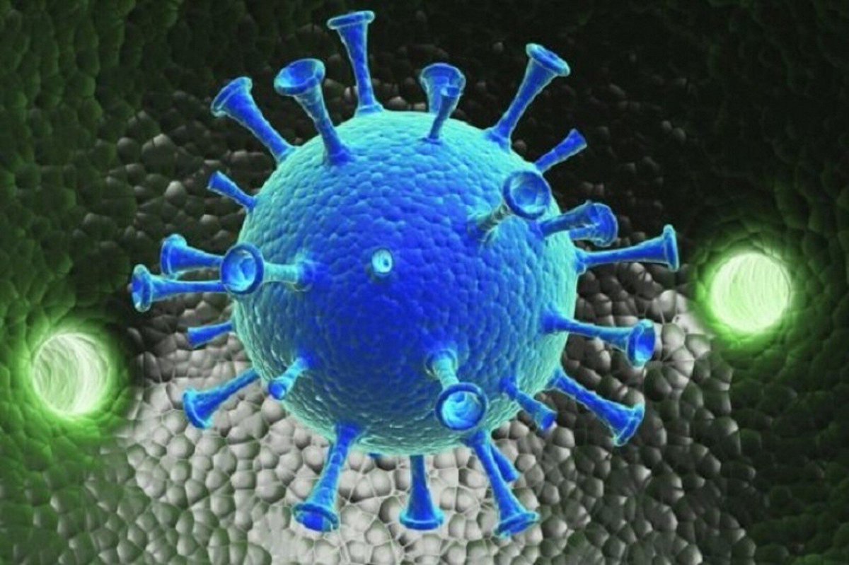Профессор – вирусолог Петр Чумаков назвал категорию людей, неуязвимых перед коронавирусом - фото 1