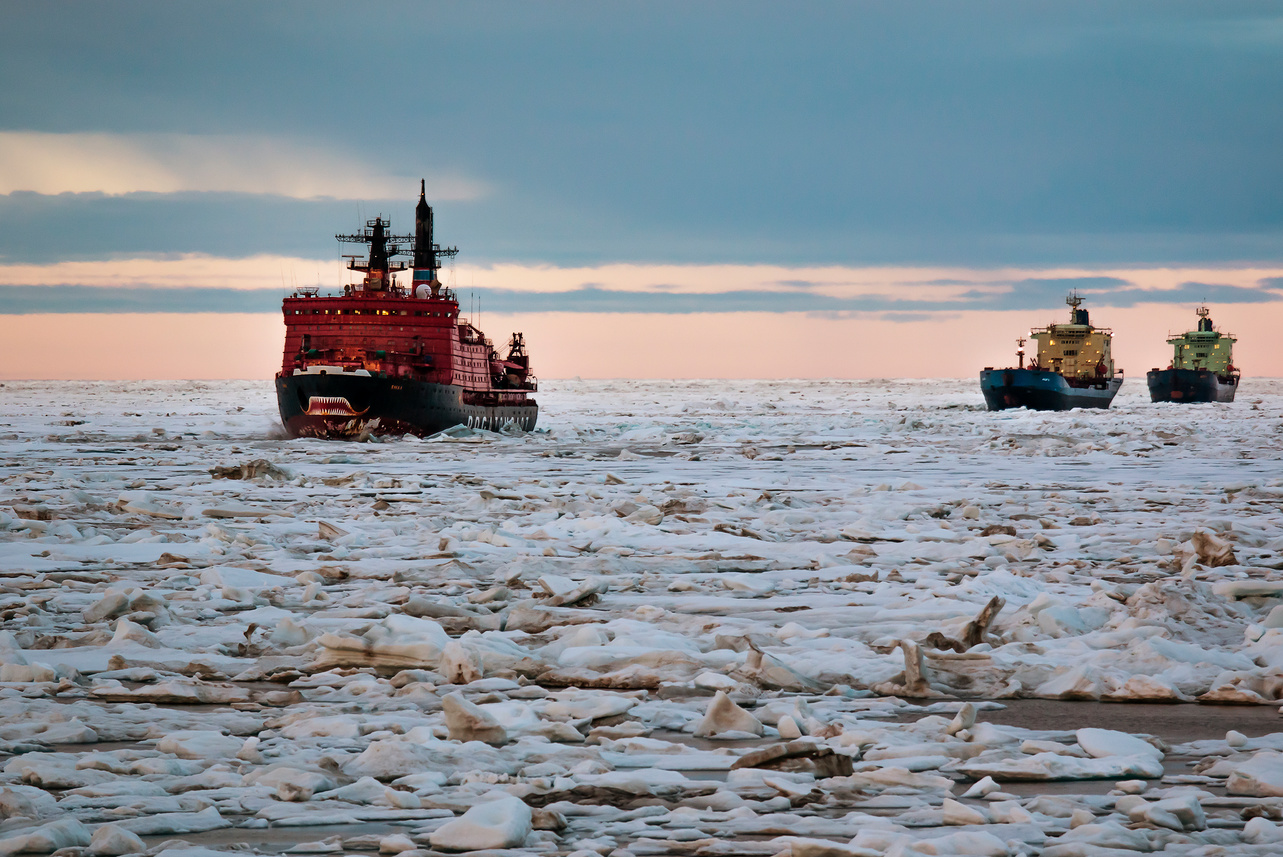 Перспективы российско-китайского сотрудничества обсудили в рамках проекта Think Arctic - фото 1