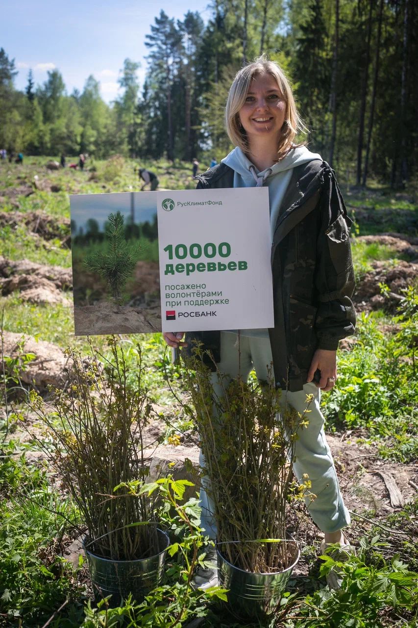 Итоги сезона: волонтеры высадили более 65 тысяч молодых деревьев в российских регионах  - фото 1