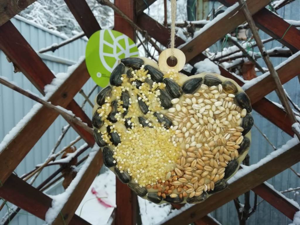 Накормим птиц красиво: Мосприрода развесит «Съедобные кормушки» - фото 6