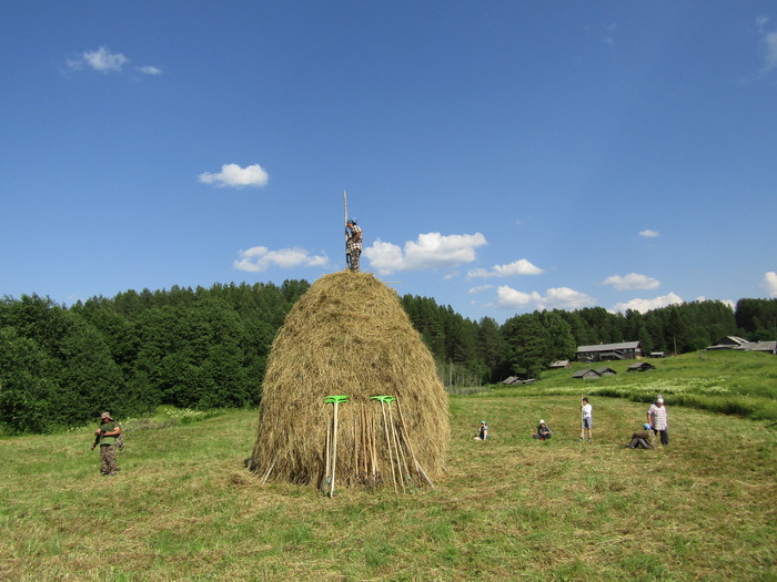 Волонтёры заготовили для Кенозерского национального парка три тонны сена - фото 3