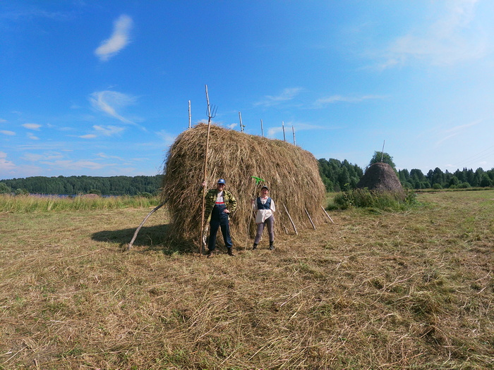 Волонтёры заготовили для Кенозерского национального парка три тонны сена - фото 4