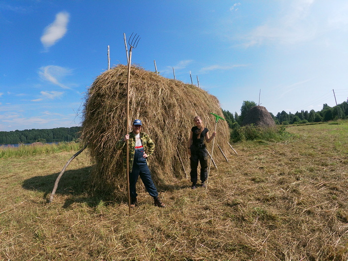 Волонтёры заготовили для Кенозерского национального парка три тонны сена - фото 5