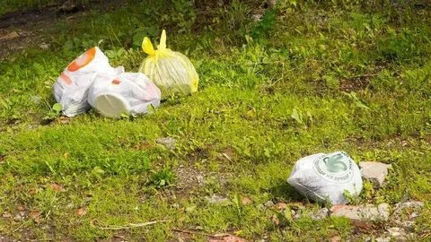 В России введены жесткие штрафы за выброшенный из автомобиля мусор - фото 1