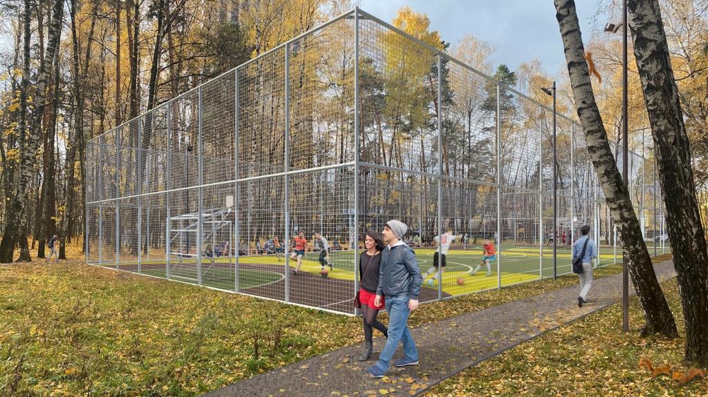 В Щукинском парке и Всехсвятской роще завершается устройство спортивных площадок - фото 1
